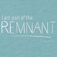 I Am Part Of The Remnant Revelation 12 Seventh Day Adventist Sueded Cloud Jersey T-Shirt