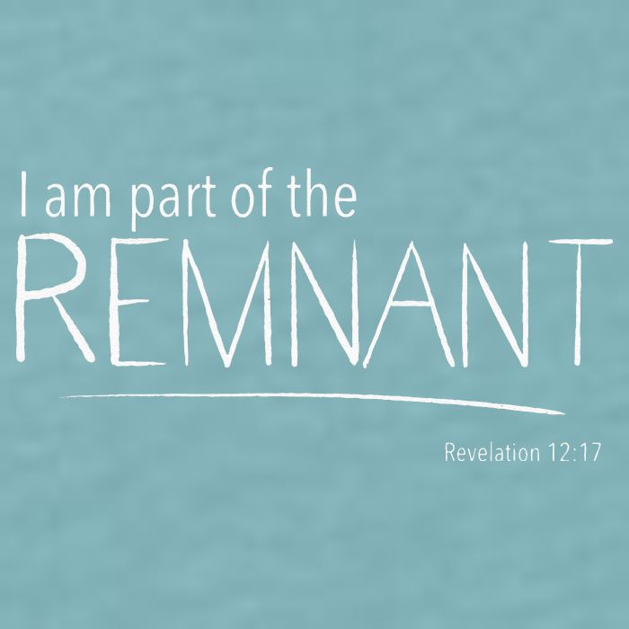 I Am Part Of The Remnant Revelation 12 Seventh Day Adventist Sueded Cloud Jersey T-Shirt