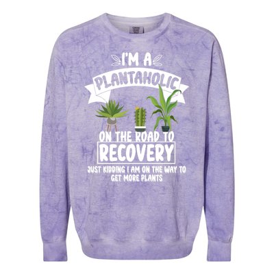 I'm A Plantaholic On The Road To Recovery Colorblast Crewneck Sweatshirt