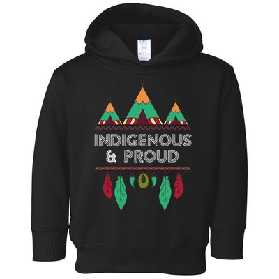 Indigenous And Proud Native Pride Indigenous People Toddler Hoodie