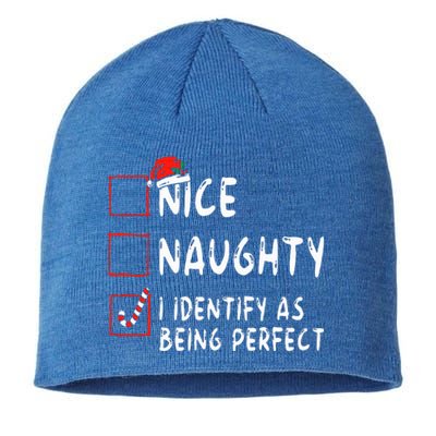 Identify As Perfect Funny Naughty Nice List Christmas Sustainable Beanie