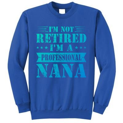 Im A Professional Nana Funny Mothers Day Retired Grandma Gift Sweatshirt