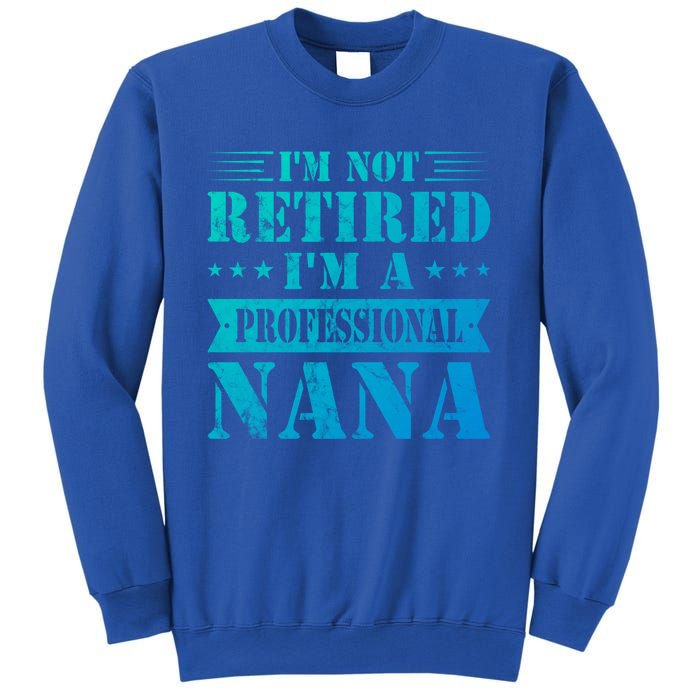 Im A Professional Nana Funny Mothers Day Retired Grandma Gift Sweatshirt