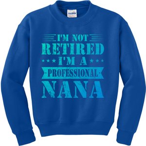 Im A Professional Nana Funny Mothers Day Retired Grandma Gift Kids Sweatshirt