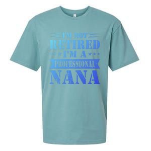 Im A Professional Nana Funny Mothers Day Retired Grandma Gift Sueded Cloud Jersey T-Shirt