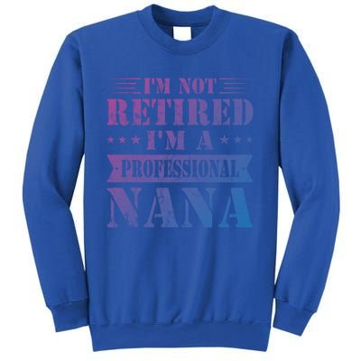 Im A Professional Nana Funny Mothers Day Retired Grandma Gift Sweatshirt