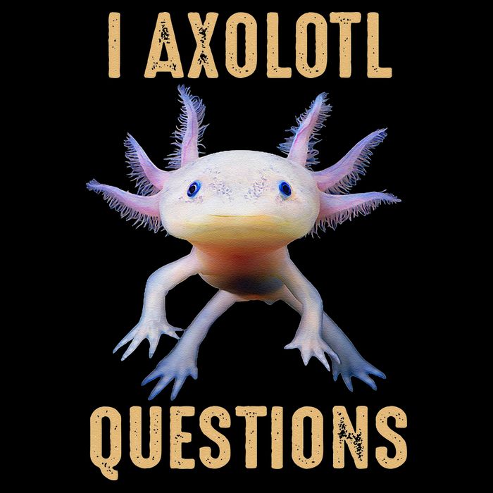 I Axolotl Questions Retro Vintage Button