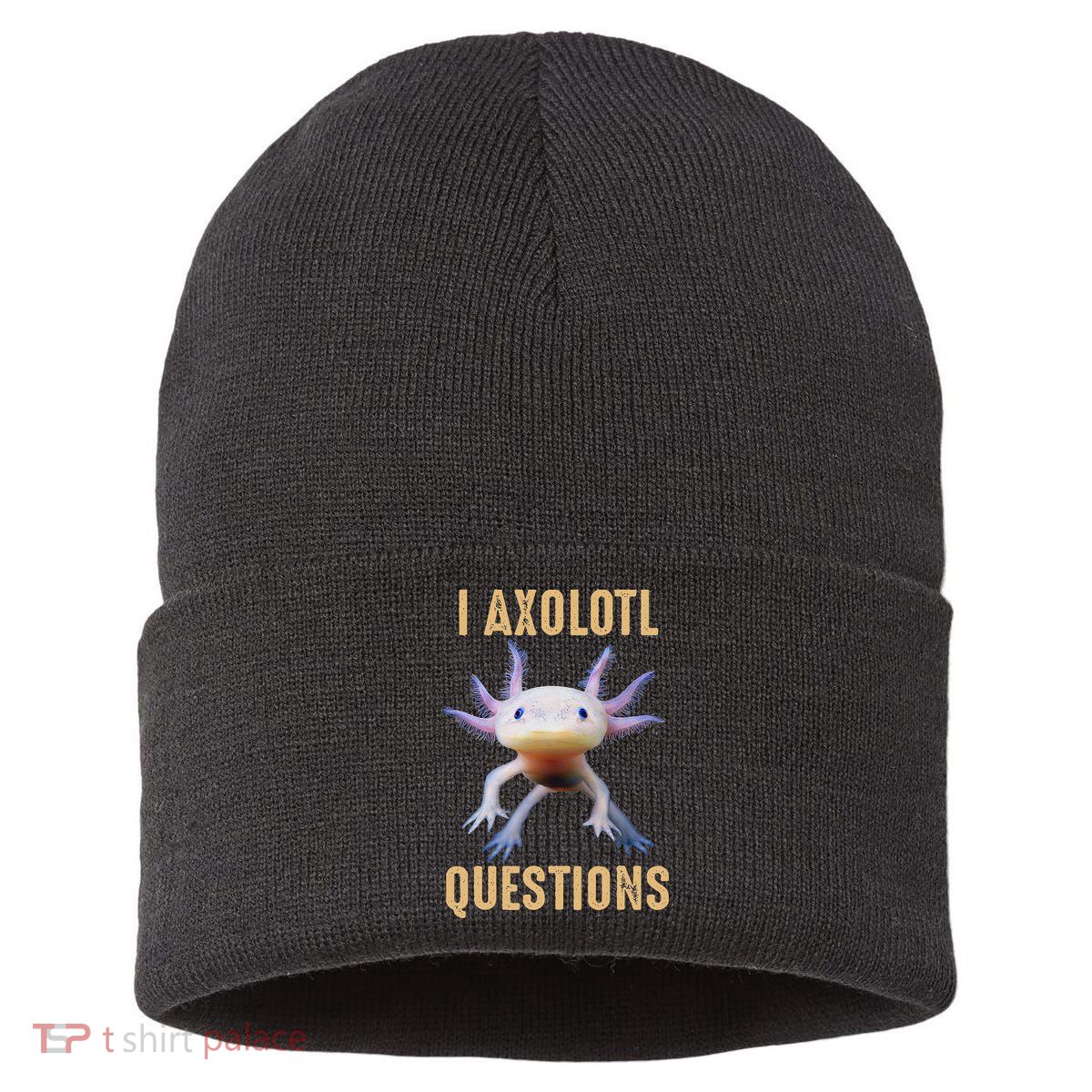 I Axolotl Questions Retro Vintage Sustainable Knit Beanie