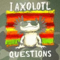 I Axolotl Questions Legacy Tie Dye Trucker Hat
