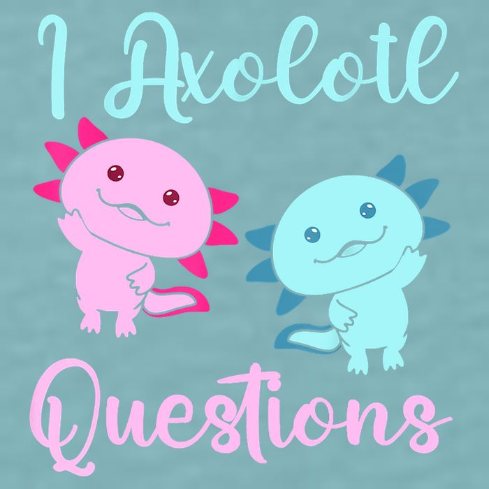 I Axolotl Questions Cute Axolotl For Axolotl Lovers Sueded Cloud Jersey T-Shirt