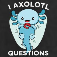 I Axolotl Questions Cute Axolotl Kawaii Cool Comfort Performance Bucket Hat