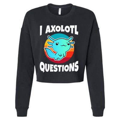 I Axolotl Questions Cropped Pullover Crew