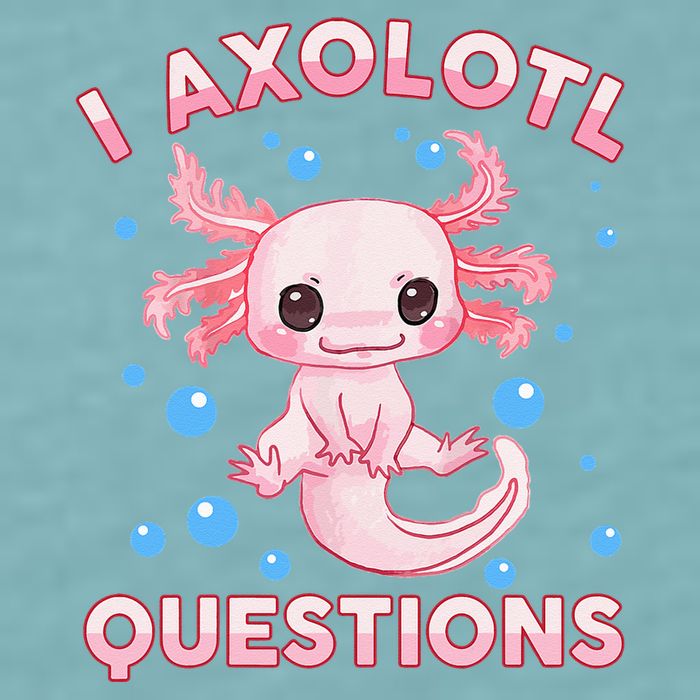 I Axolotl Questions Axolotl Sueded Cloud Jersey T-Shirt