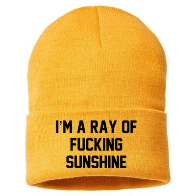 I'm A Ray Of Fucking Sunshine Sustainable Knit Beanie