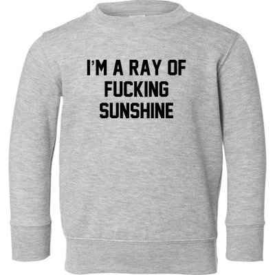 I'm A Ray Of Fucking Sunshine Toddler Sweatshirt