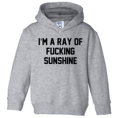 I'm A Ray Of Fucking Sunshine Toddler Hoodie