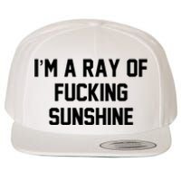 I'm A Ray Of Fucking Sunshine Wool Snapback Cap