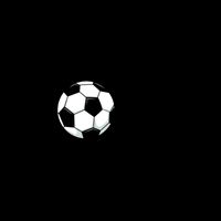 I'm A Real GOAL Getter Soccer Mug