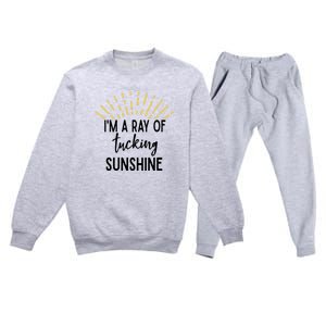 I'm A Ray Of Tucking Sunshine Sun Cute Funny Sayings Class Gift Premium Crewneck Sweatsuit Set