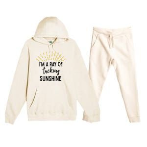 I'm A Ray Of Tucking Sunshine Sun Cute Funny Sayings Class Gift Premium Hooded Sweatsuit Set