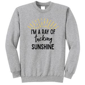 I'm A Ray Of Tucking Sunshine Sun Cute Funny Sayings Class Gift Sweatshirt