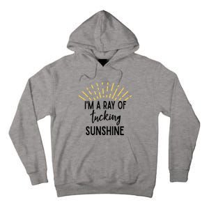 I'm A Ray Of Tucking Sunshine Sun Cute Funny Sayings Class Gift Tall Hoodie