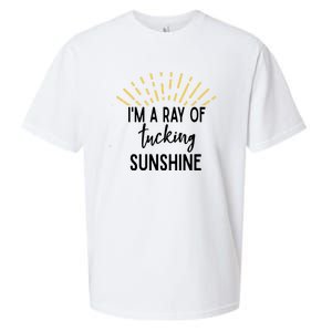 I'm A Ray Of Tucking Sunshine Sun Cute Funny Sayings Class Gift Sueded Cloud Jersey T-Shirt