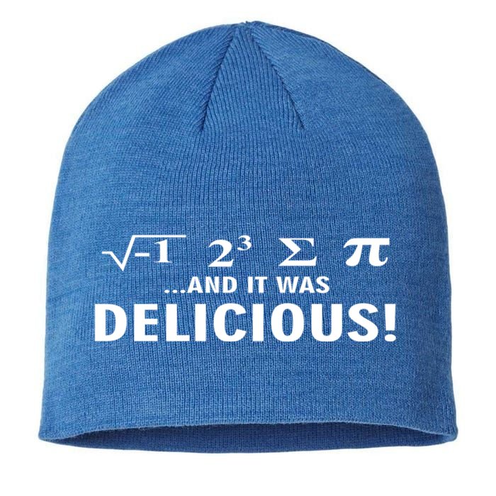 I Ate Some Pie And It Was Delicious Funny Sayings Meaningful Gift Sustainable Beanie