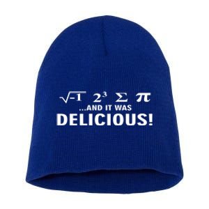 I Ate Some Pie And It Was Delicious Funny Sayings Meaningful Gift Short Acrylic Beanie