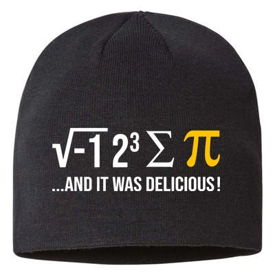 I Ate Some Pie And It Was Delicious Funny Pi Day Math Pun Sustainable Beanie