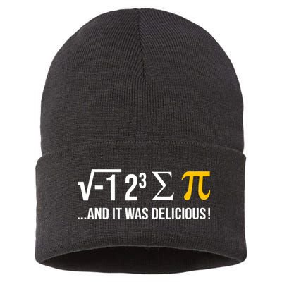I Ate Some Pie And It Was Delicious Funny Pi Day Math Pun Sustainable Knit Beanie