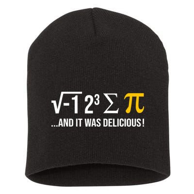 I Ate Some Pie And It Was Delicious Funny Pi Day Math Pun Short Acrylic Beanie