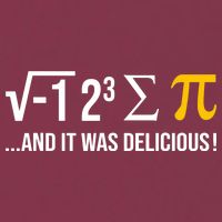 I Ate Some Pie And It Was Delicious Funny Pi Day Math Pun 16oz Travel Tumbler