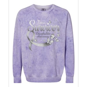 I'm A Survivor Encephalitis Awareness Butterfly Gift Colorblast Crewneck Sweatshirt