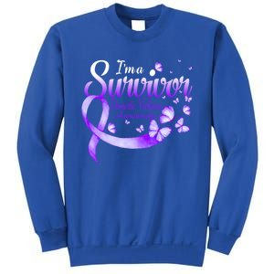 I'm A Survivor Domestic Violence Awareness Butterfly Gift Sweatshirt