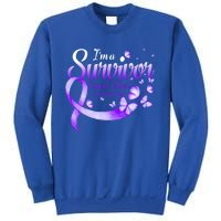 I'm A Survivor Domestic Violence Awareness Butterfly Gift Sweatshirt