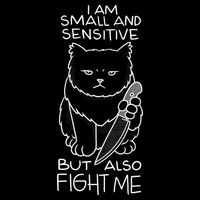 I Am Small And Sensitive But Also Fight Me Funny Cat 7-Panel Snapback Hat
