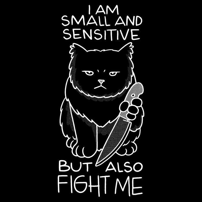 I Am Small And Sensitive But Also Fight Me Funny Cat 16 in Basic Backpack