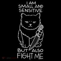 I Am Small And Sensitive But Also Fight Me Funny Cat Toddler Sweatshirt