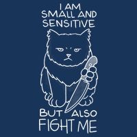 I Am Small And Sensitive But Also Fight Me Funny Cat Infant Baby Jersey Bodysuit