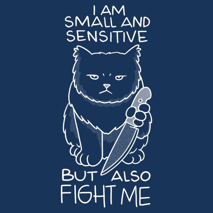 I Am Small And Sensitive But Also Fight Me Funny Cat Infant Baby Jersey Bodysuit