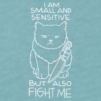 I Am Small And Sensitive But Also Fight Me Funny Cat Sueded Cloud Jersey T-Shirt