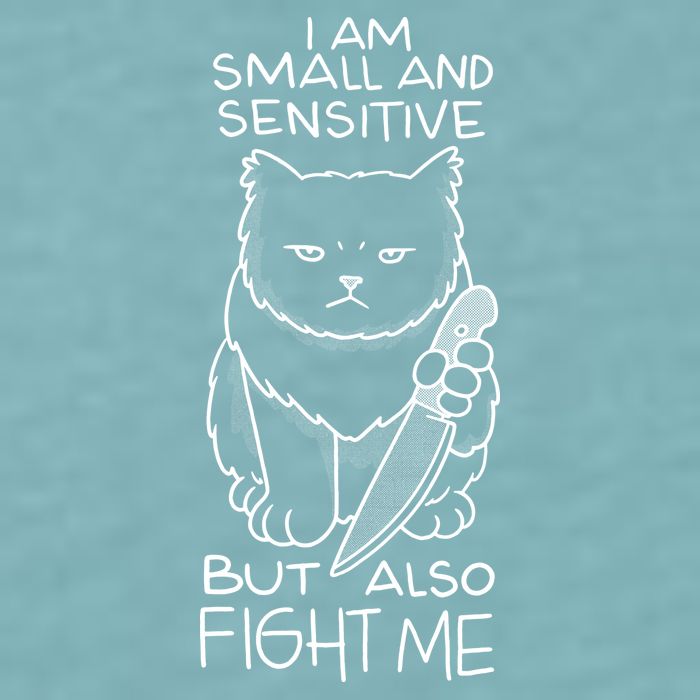 I Am Small And Sensitive But Also Fight Me Funny Cat Sueded Cloud Jersey T-Shirt