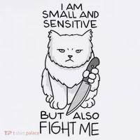 I Am Small And Sensitive But Also Fight Me Funny Cat Trucker Hat