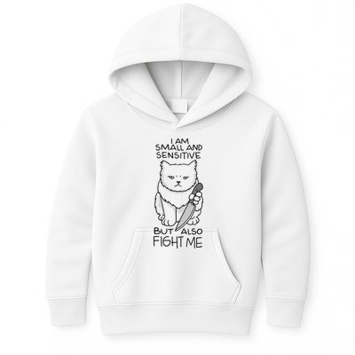 I Am Small And Sensitive But Also Fight Me Funny Cat Kids Hoodie