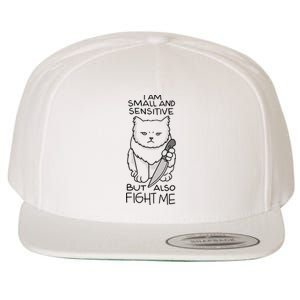 I Am Small And Sensitive But Also Fight Me Funny Cat Wool Snapback Cap