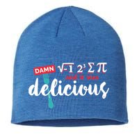 I Ate Some Pie And It Was Delicious Math Ate Sum Pi Day Gift Sustainable Beanie