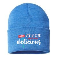 I Ate Some Pie And It Was Delicious Math Ate Sum Pi Day Gift Sustainable Knit Beanie