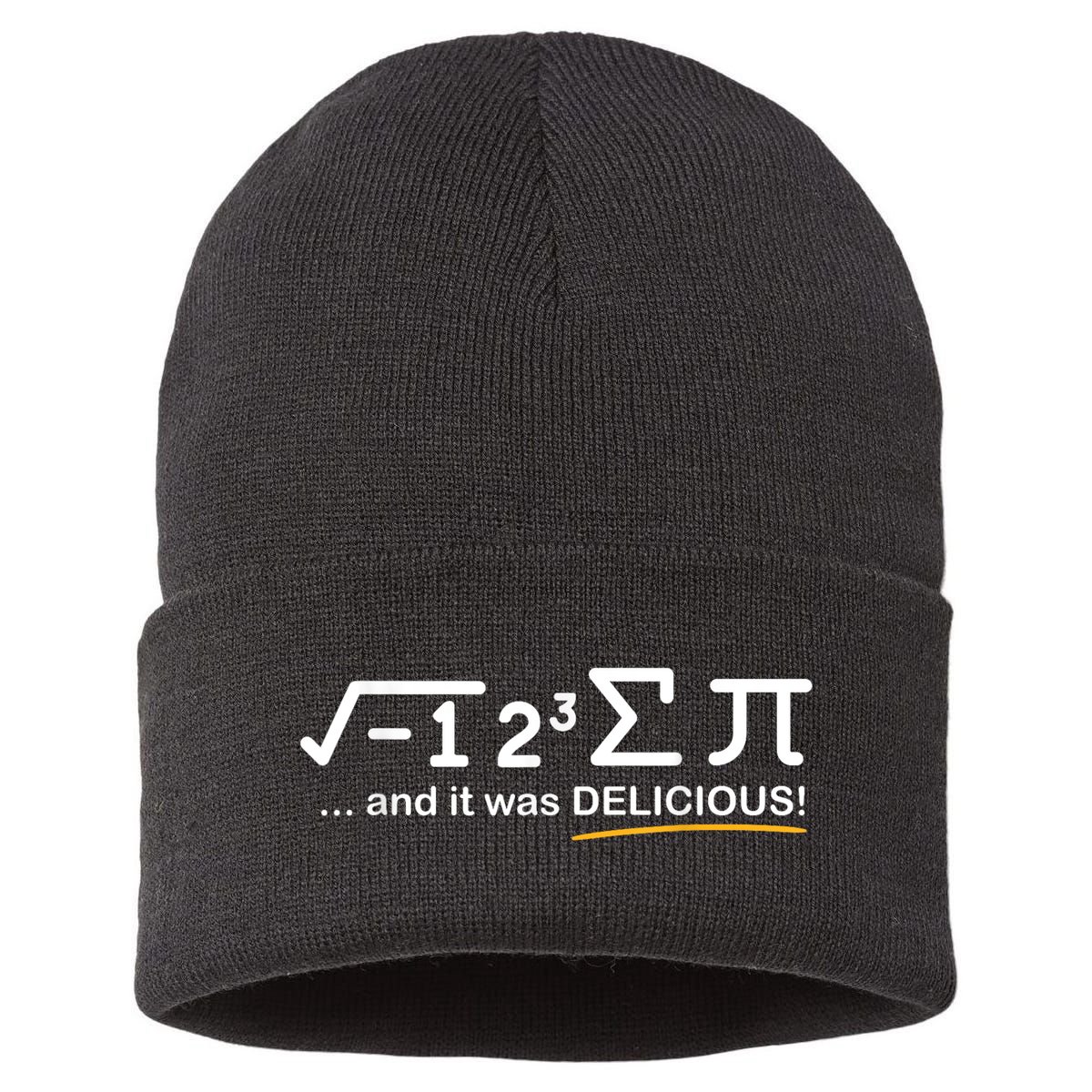 I Ate Some Pi Funny Pi Day & Math Lover Gift Sustainable Knit Beanie