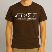 I Ate Some Pi Funny Pi Day & Math Lover Gift T-Shirt
